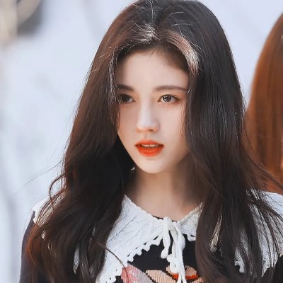 忘尘月