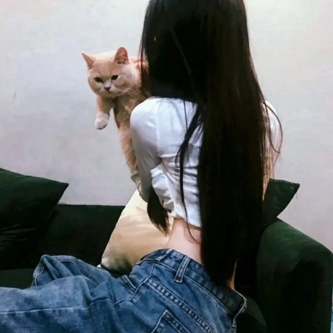 新啼笑姻缘